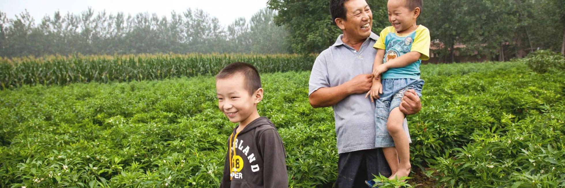 Farmer and sons in a pepper field