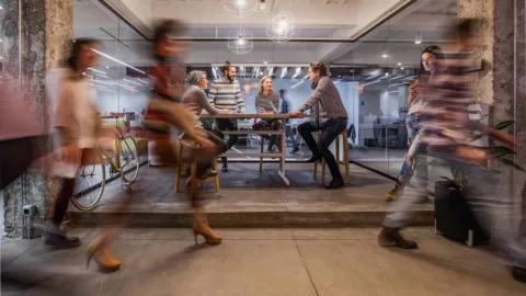 карьера в bayer